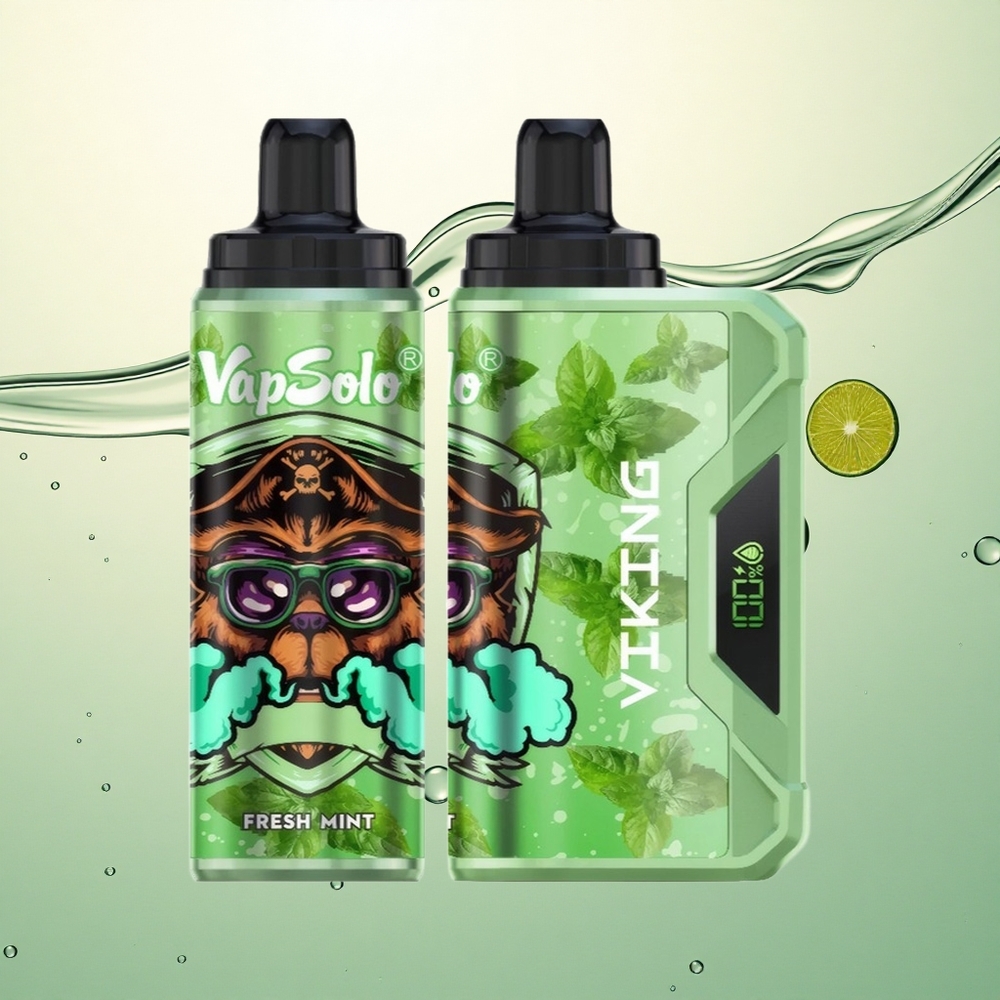 VapSolo VIKING 12000 Puffs Svježi Pepermint Tip-C Punjenje 22ml Nikotin
