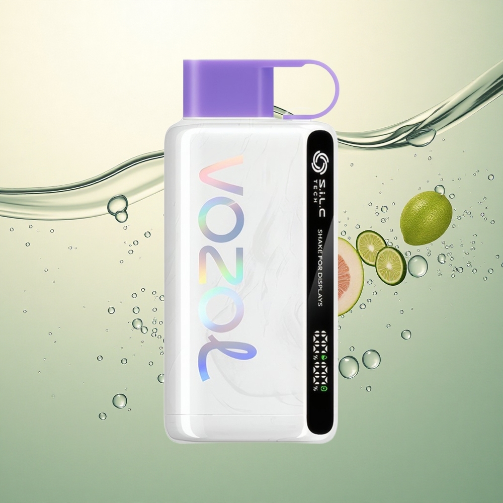 VOZOL STAR 9000/12000 Puffs Ledo Grožđe sa 650mAh i brzom punjenjem